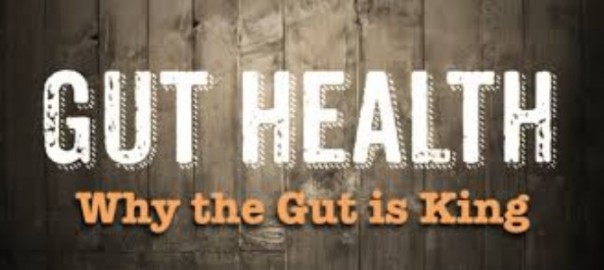 gut-health-its-vital-to-our-function